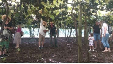 PASSEIO EXTRA 23/02 e 02/03 - Caminhos da Col&ocirc;nia 