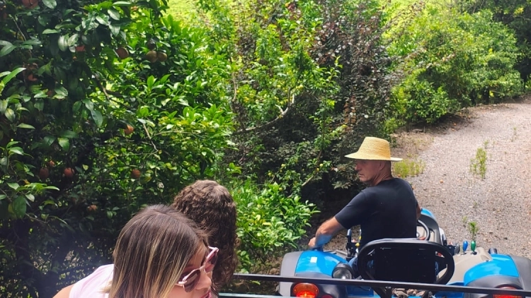 05/03: Quinta -   Venha Fazer seu Vinho com Arte!