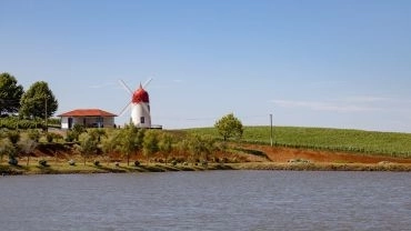 Pela  Porteira do Rio Grande!  - LANÇAMENTO!
