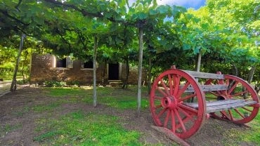 Caminhos de Pedra e Vale dos Vinhedos - Bento Gonçalves