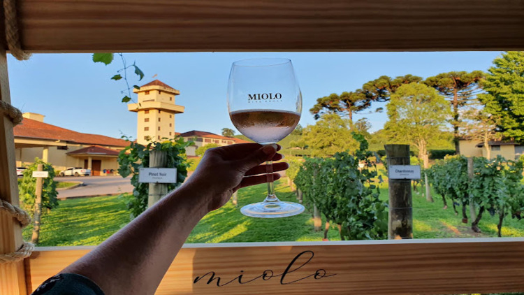 Ingresso Vin&iacute;cola Miolo - Tour Hist&oacute;ria e Terroir + degusta&ccedil;&atilde;o 
