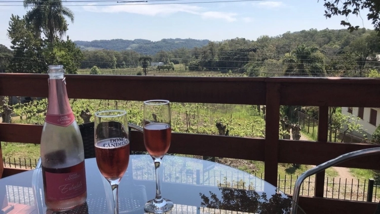 Ingresso Vin&iacute;cola Dom C&acirc;ndido - Tour Da Uva ao Vinho + degusta&ccedil;&atilde;o