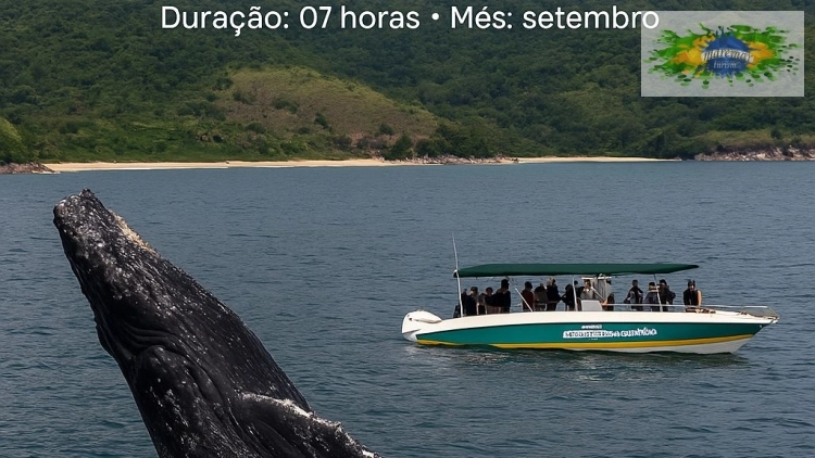 Imagem de vitrine