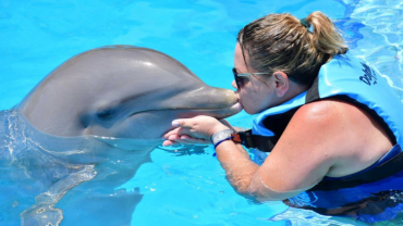 Nado com Golfinhos * Delphinus Riviera Maya