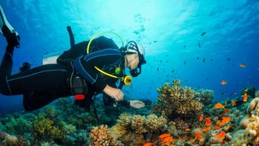 Mergulho para iniciantes em Playa del Carmen