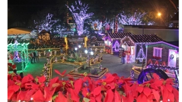 Brilho de Natal - PROMO