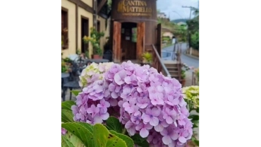 Buda Gigante + Santa Teresa + P&ocirc;r do Sol na Rampa Caravaggio