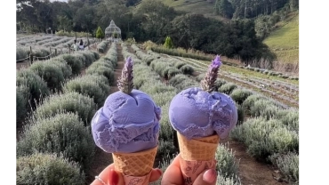Pedra Azul & Lavandario