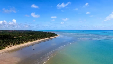 Recife ( Aeroporto Recife ) x Japaratinga