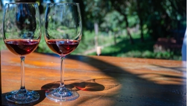 Degustação  -  Wine Bar