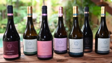 Vinhos e Paisagens