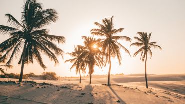 BUGGY LESTE/BARRINHA COM POR DO SOL