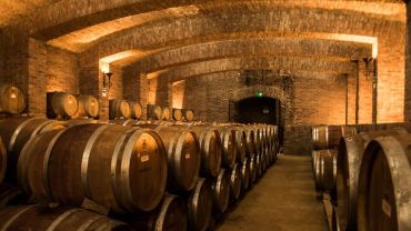 VINÍCOLA UNDURRAGA PM