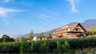 VIN&Iacute;COLA ALYAN &ndash; SUNSET COM DEGUSTA&Ccedil;&Atilde;O ILIMITADA