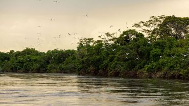 3 PRAIAS + RIO BAÍA