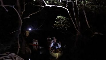 Caiaque NOTURNO no Túnel do Mangue com BIOLUMINESCÊNCIA*