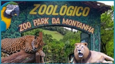 ZOOLOGICO & BRILHO DE NATAL