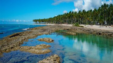 Passeio Praia do Gunga