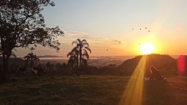 Cavalgada ao Nascer do sol com Piquenique