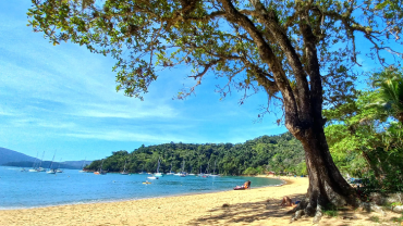 Trilha Sete Fontes em Ubatuba-SP