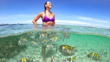 Bate e Volta - Japaratinga AL 