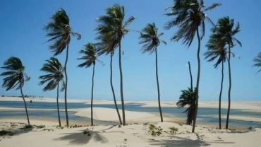 Lençóis Tutoienses - buggy