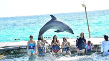 Tour Swim with Dolphins - Royal