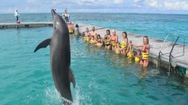 Tour Swim with Dolphin - Action