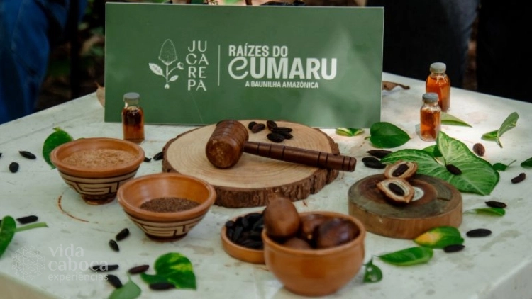 Ra&iacute;zes do Cumaru: a baunilha da Amaz&ocirc;nia