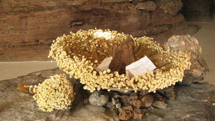 Imagem de vitrine
