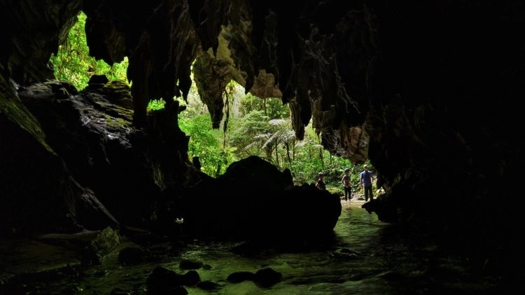 PETAR (Ribeir&atilde;o Preto)