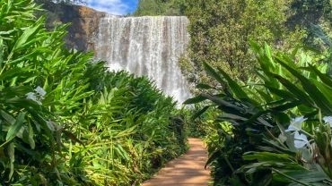 Saideira - Cachoeira Mandaguari