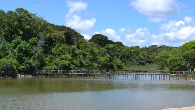 Escola S&atilde;o Jorge - Aula de campo 9&ordm; ano &ndash; Projeto: Mulheres ilustres &ndash; Luciana Petribu