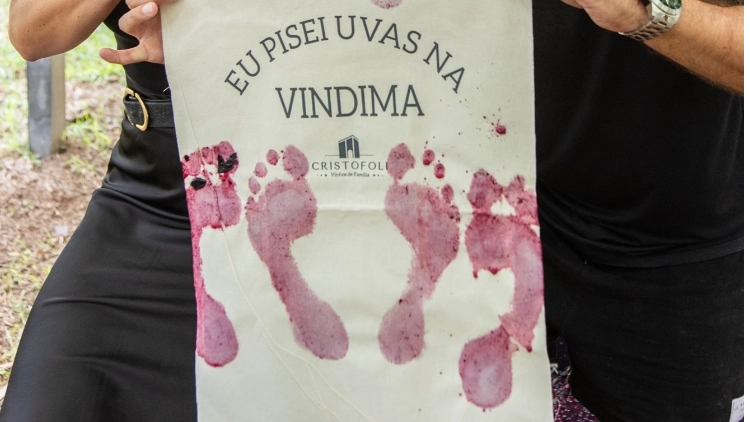Imagem de vitrine