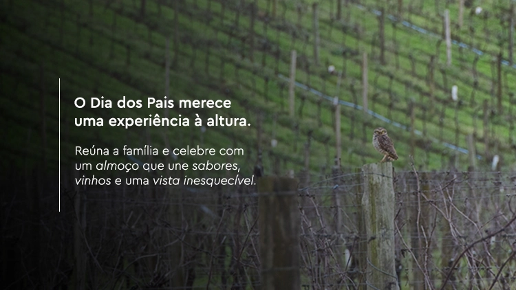 Imagem de vitrine