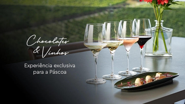 Chocolates & Vinhos
