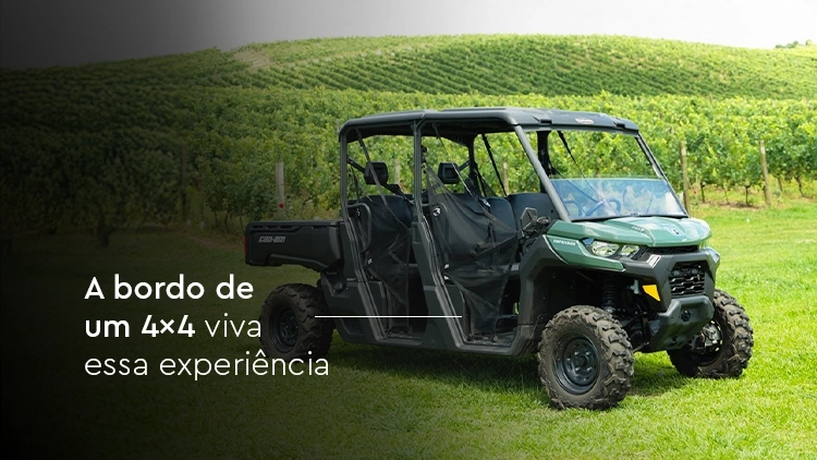 Vinhos e Vinhedos 4x4 Experience