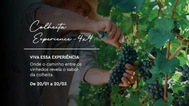 Colheita Experience 4x4