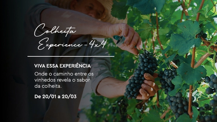 Colheita Experience 4x4