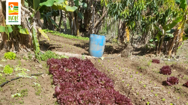 Horta Rosa Luchenburgue | Anhanguera