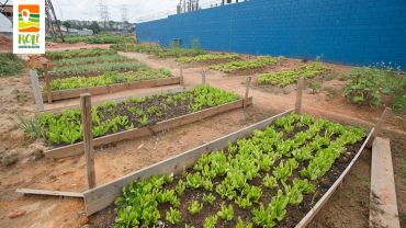 Horta Vila Nilo | Jaçanã 