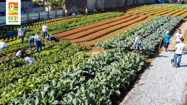 Horta Urbana São Mateus | São Mateus