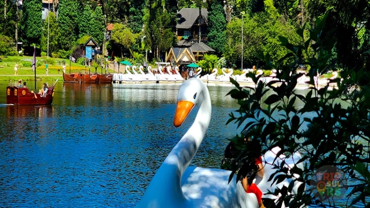 City Tour Premium Gramado e Canela at&eacute; 4 pessoas