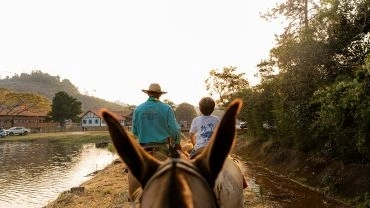 Passeio de mula