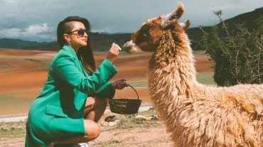 EXPERI&Ecirc;NCIA CULTURAL ATACAMENHA &ndash;  TOUR COM LHAMAS