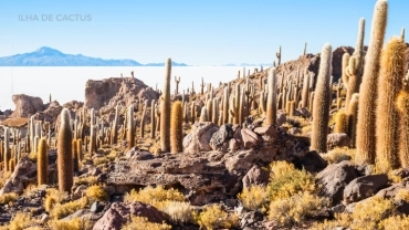 SALAR DE UYUNI - 3 DIAS E 2 NOITES / FINALIZANDO EM UYUNI