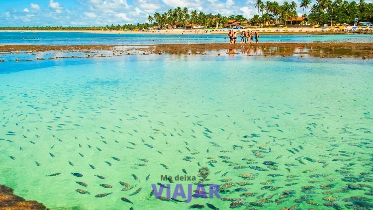 Imagem de vitrine