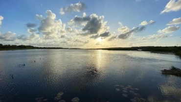 Explore o Pantanal Alagoano – Um Passeio Autêntico e Inesquecível!