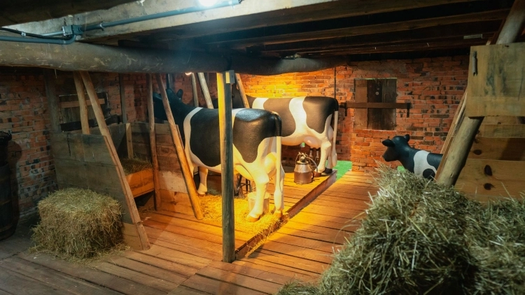 Imagem de vitrine