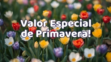 Ingresso Promocional